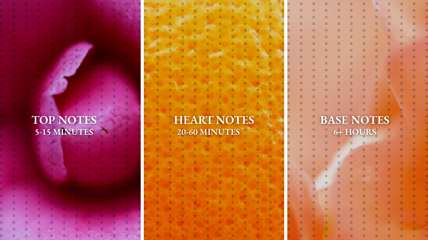 The Art of Perfume Notes: Unlocking the Essence of a Fragrance