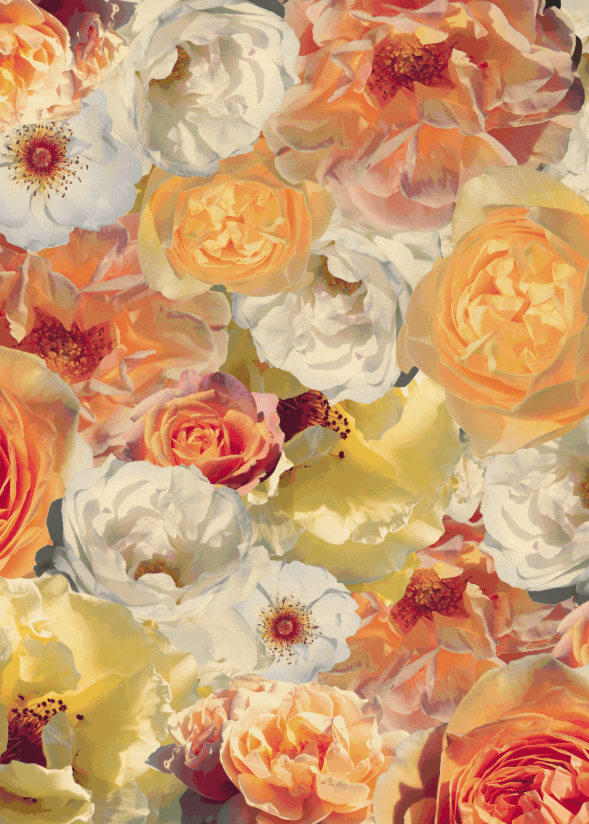 Bundle and Save : Fleurs de Minuit Collection